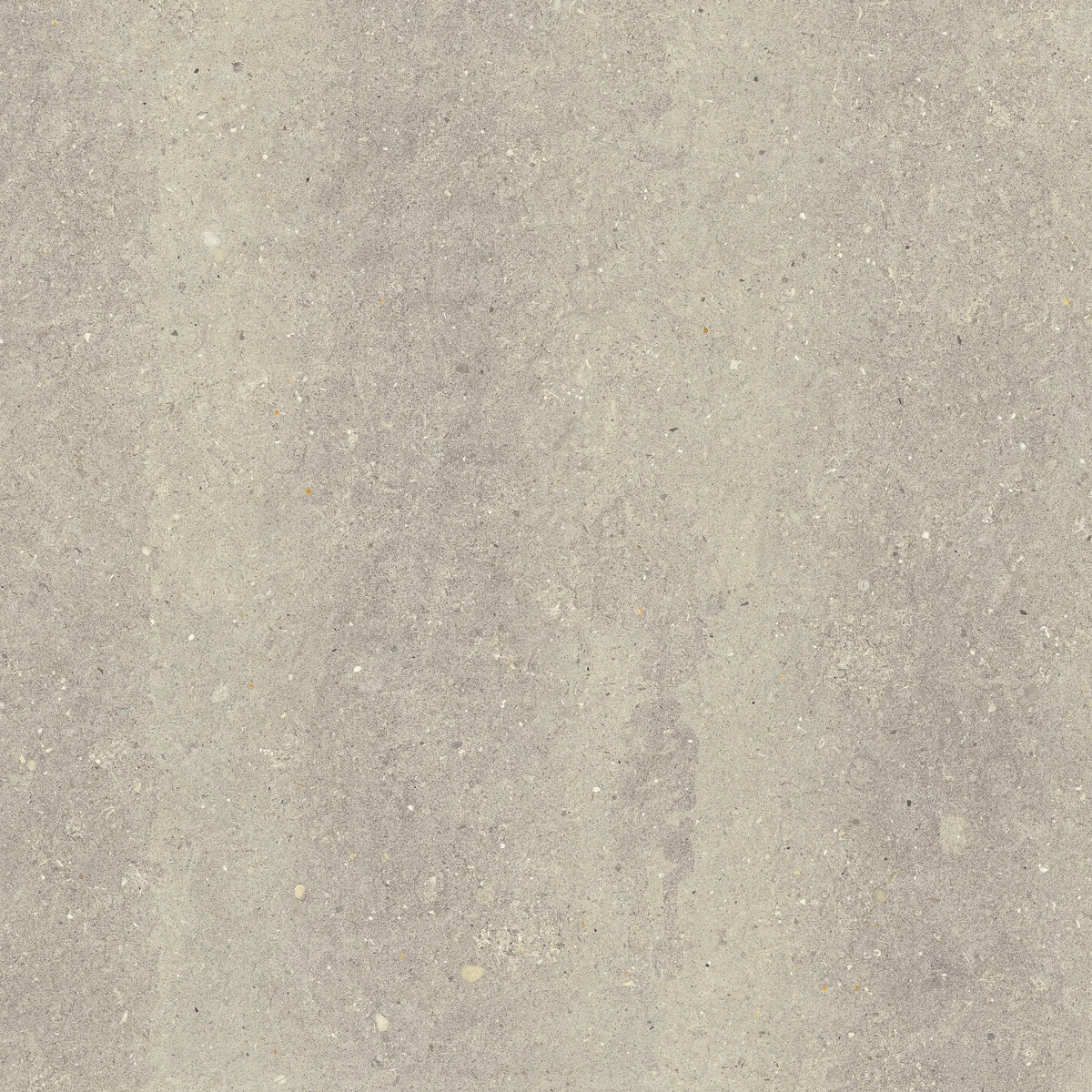 face 3